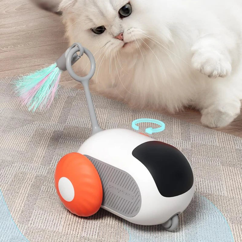 Remote Control Interactive Cat Toy USB Charging Hours of Fun