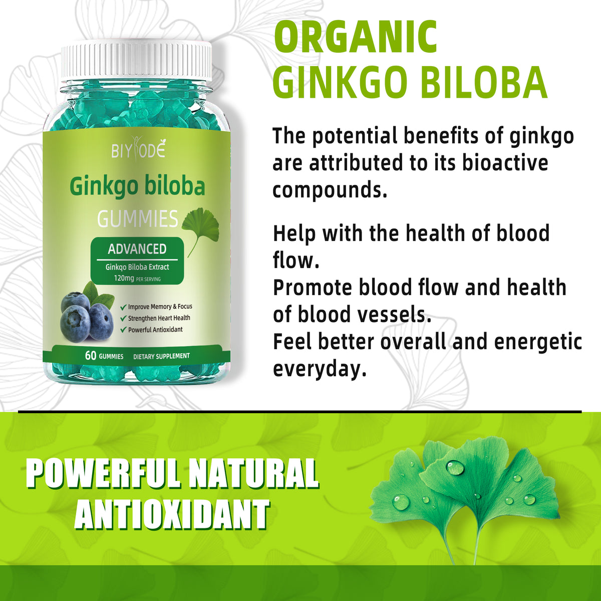 Ginkgo-Biloba Gummies Support Adult Memory & Focus