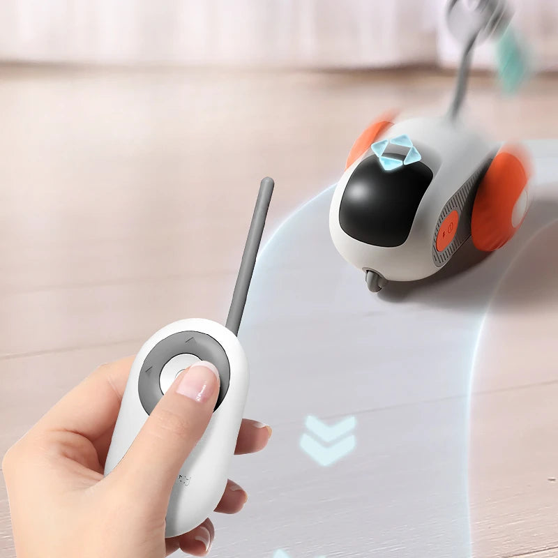 Remote Control Interactive Cat Toy USB Charging Hours of Fun